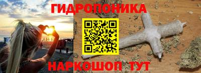 шишки Пенза