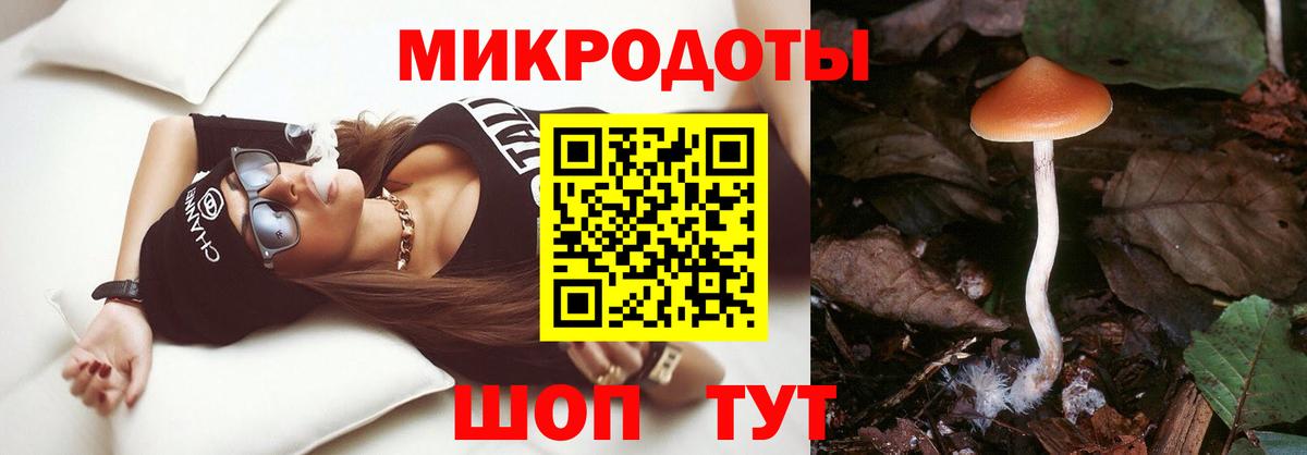 Псилоцибиновые грибы мицелий  Галлюциногенные грибы Psilocybine cubensis  Саранск  Вход с VPN 